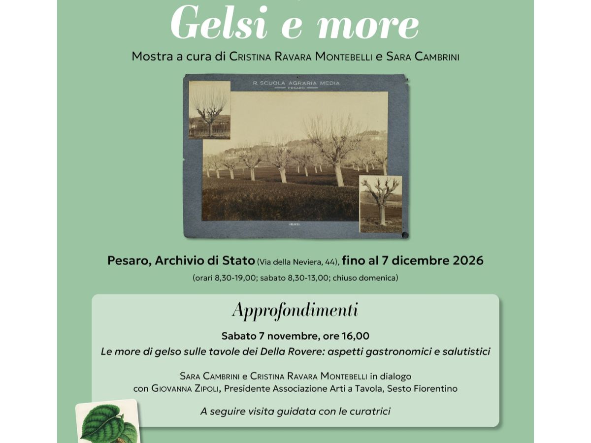 Le more di gelso sulle tavole dei Della Rovere